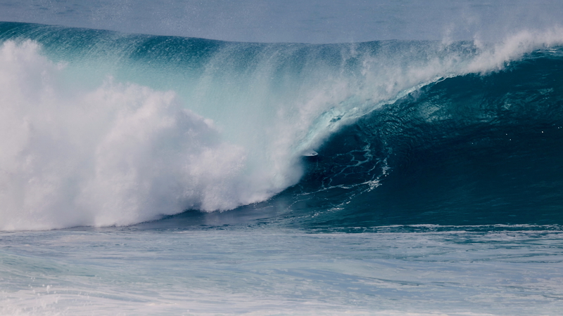 スクリーンショット 2026-01-12 6.05.56