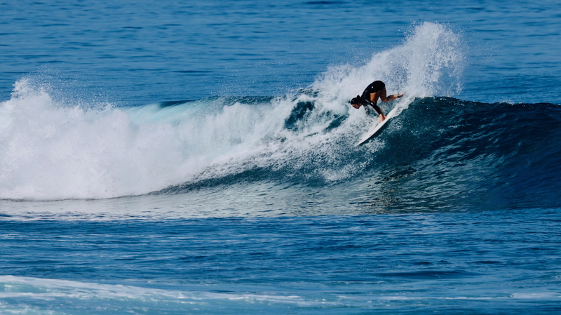 スクリーンショット 2026-01-09 15.18.18