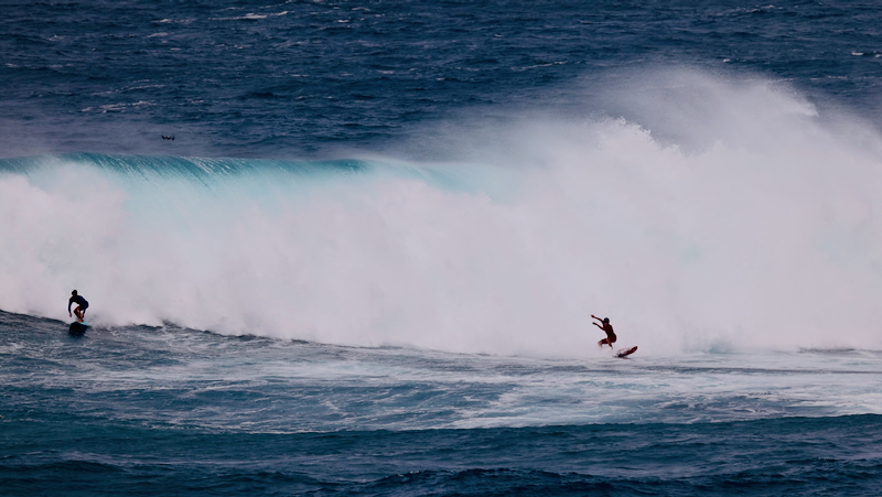 スクリーンショット 2026-01-16 13.53.17