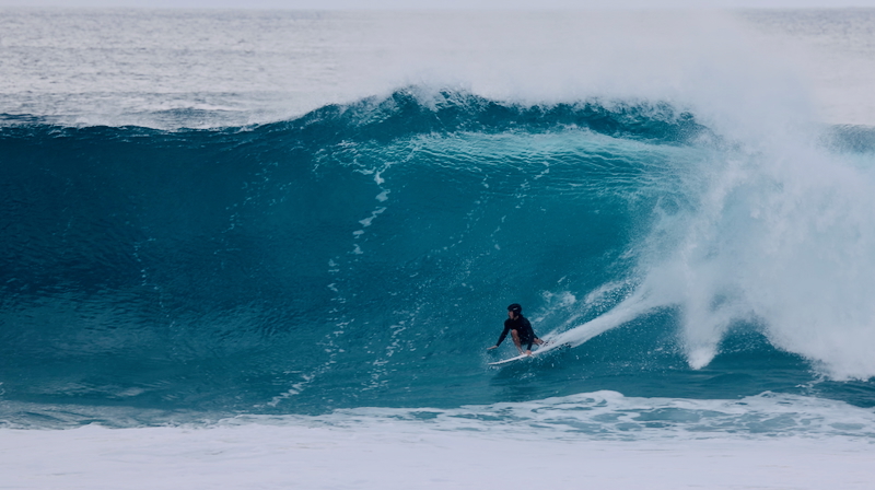 スクリーンショット 2026-01-19 3.16.16