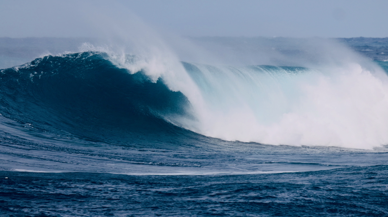 スクリーンショット 2026-01-17 15.08.19