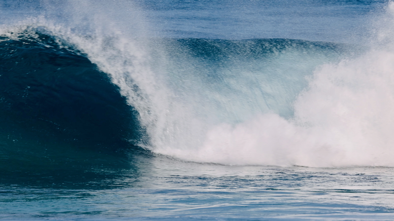 スクリーンショット 2026-01-20 17.53.30