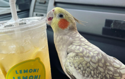 スクリーンショット 2025-12-24 121232