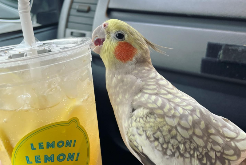 スクリーンショット 2025-12-24 121232