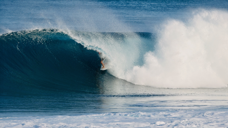 スクリーンショット 2026-01-27 17.19.50