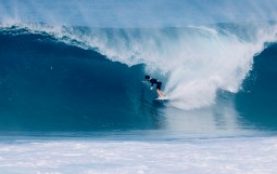 スクリーンショット 2026-01-27 17.49.31