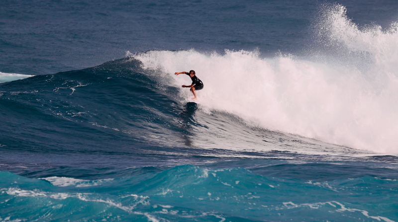 スクリーンショット 2026-01-17 14.46.36