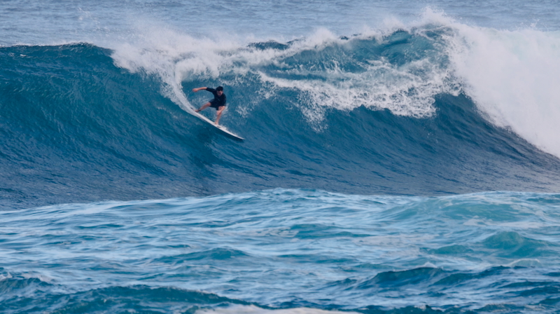 スクリーンショット 2026-01-17 14.23.12