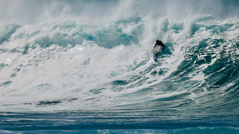 スクリーンショット 2026-01-14 4.46.52