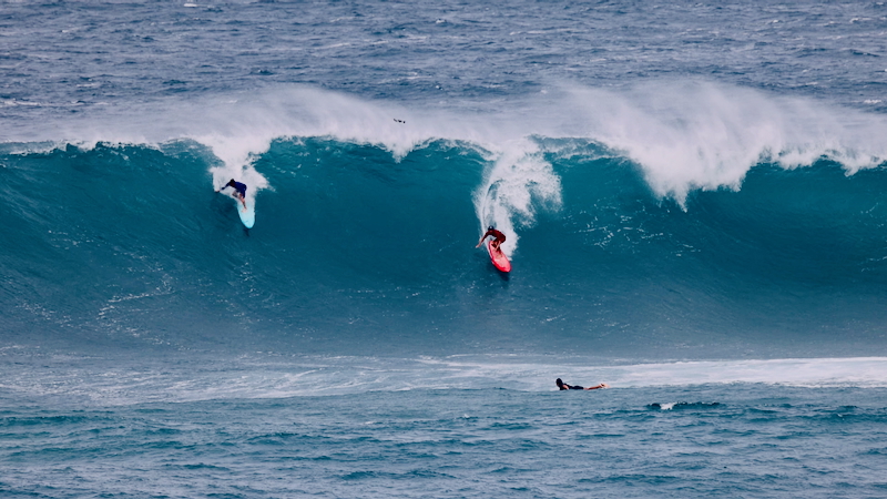 スクリーンショット 2026-01-16 13.52.33