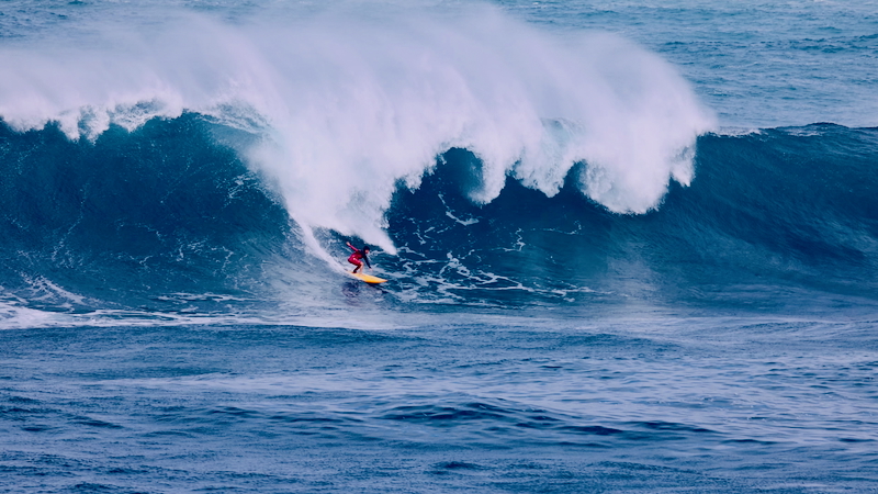 スクリーンショット 2026-01-16 13.42.02