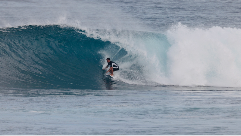 スクリーンショット 2026-01-24 17.40.51