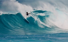 スクリーンショット 2026-01-17 15.34.48 (1)