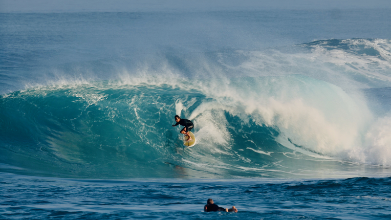 スクリーンショット 2026-01-28 17.22.35