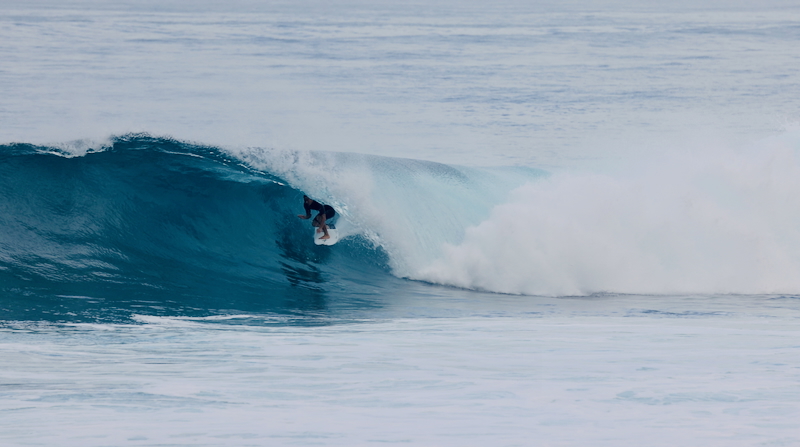 スクリーンショット 2026-01-20 5.48.08