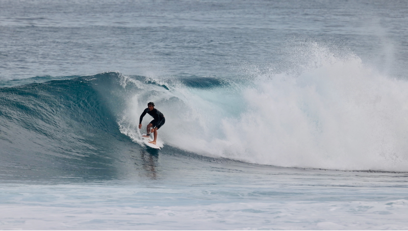 スクリーンショット 2026-01-24 17.46.54