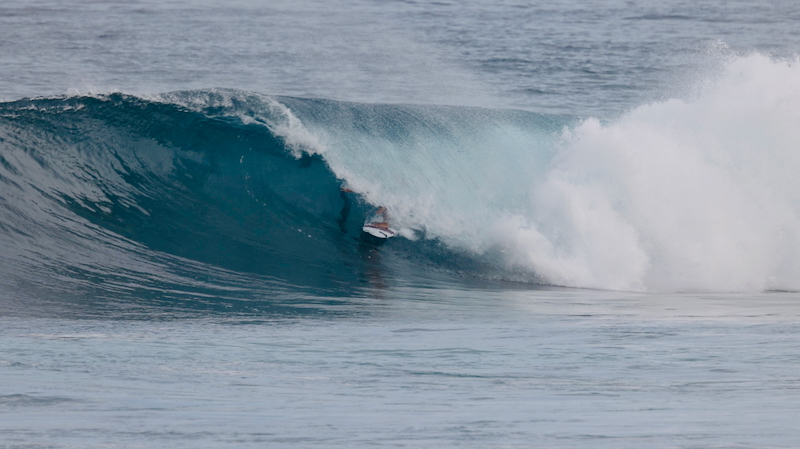 スクリーンショット 2026-01-24 17.42.00