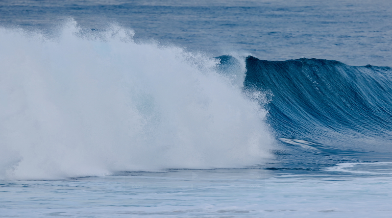 スクリーンショット 2026-01-20 5.42.25