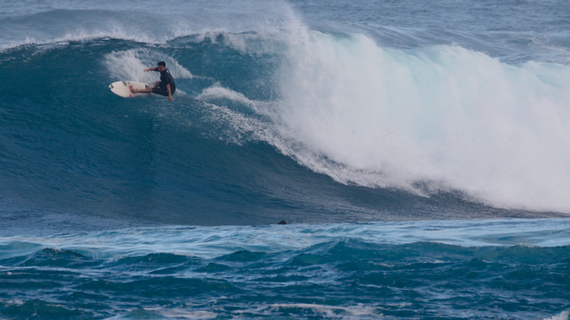 スクリーンショット 2026-01-17 14.25.26