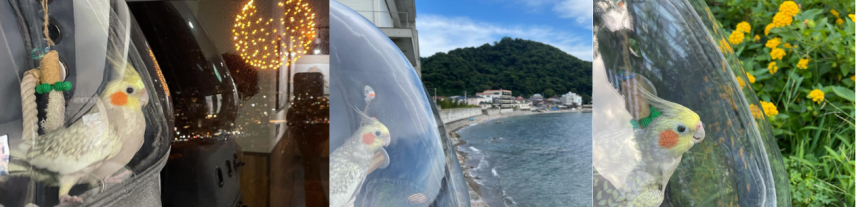 名称未設定のデザイン