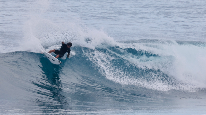 スクリーンショット 2026-01-24 17.53.53