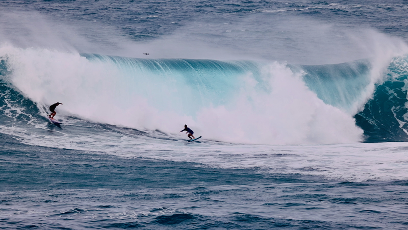 スクリーンショット 2026-01-16 13.50.51