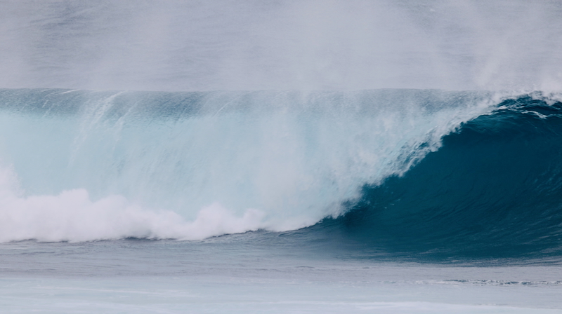 スクリーンショット 2026-01-22 19.36.30