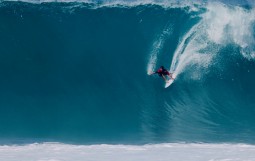 スクリーンショット 2026-01-10 18.36.02