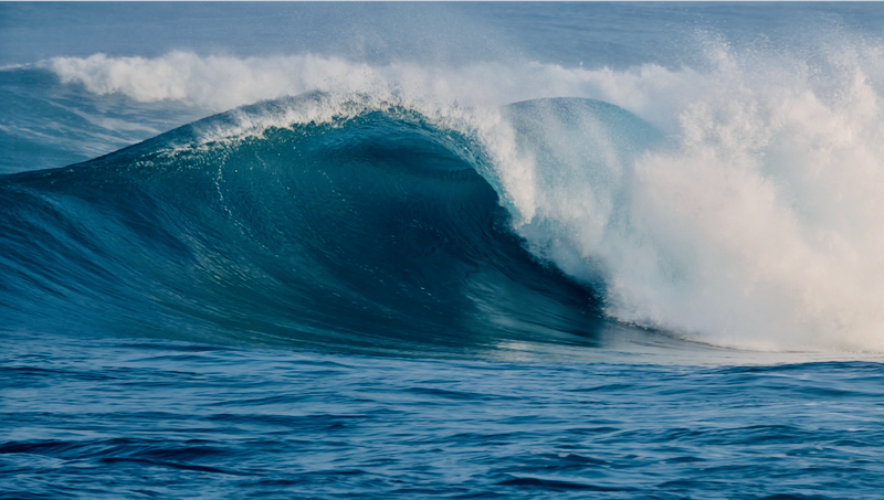 スクリーンショット 2026-01-28 17.30.26