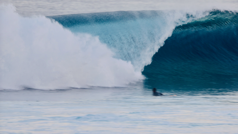 スクリーンショット 2026-01-27 16.38.46