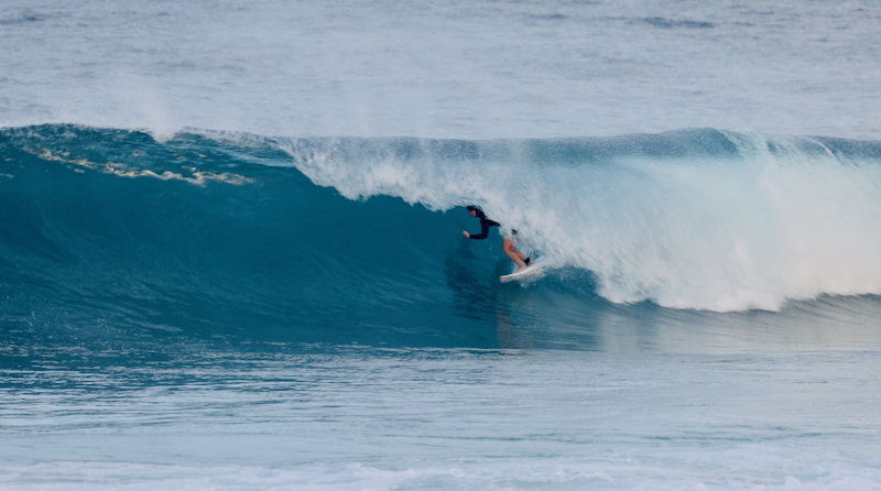 スクリーンショット 2026-01-19 2.15.35