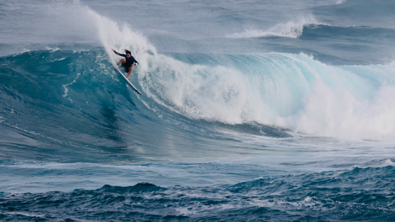 スクリーンショット 2026-01-17 14.32.01