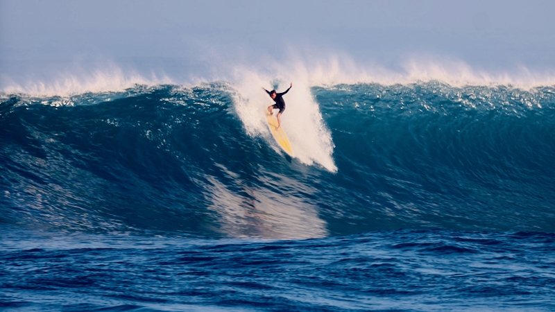 スクリーンショット 2026-01-28 17.19.57