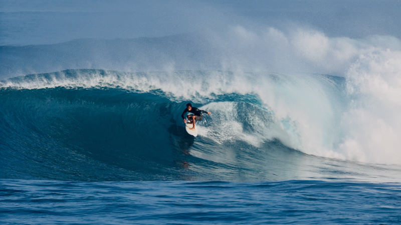 スクリーンショット 2026-01-28 17.29.41