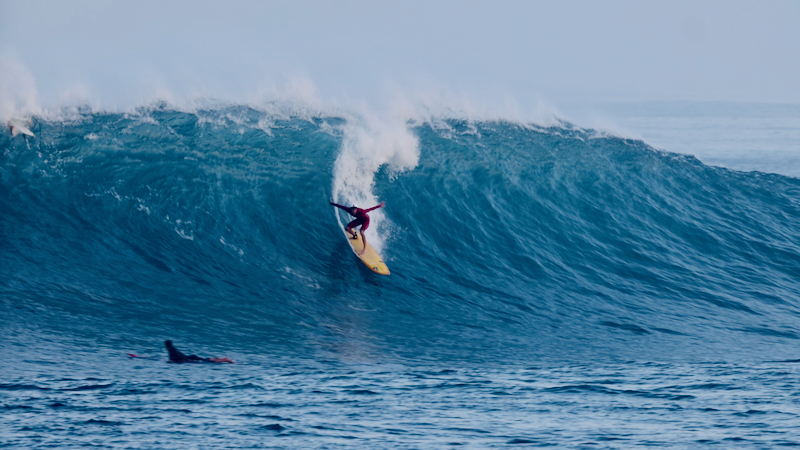 スクリーンショット 2026-01-28 17.08.39