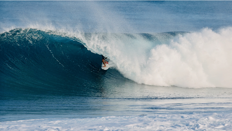 スクリーンショット 2026-01-27 17.19.35