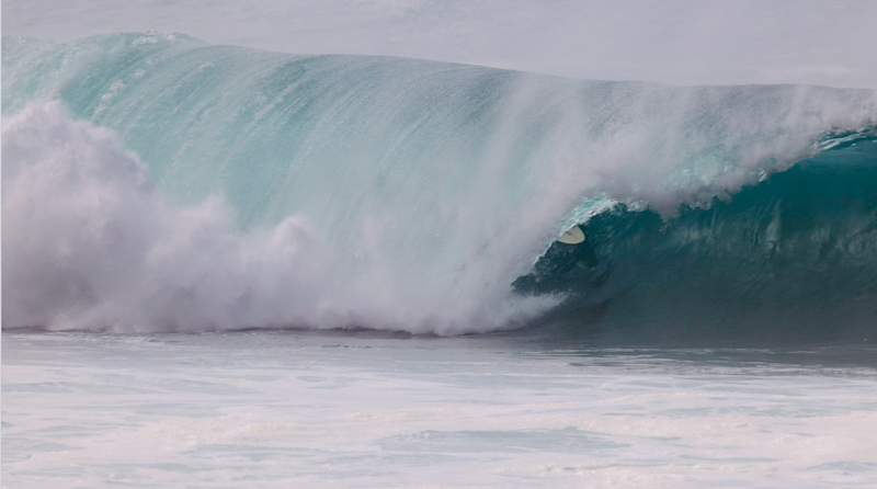 スクリーンショット 2026-01-12 6.17.00