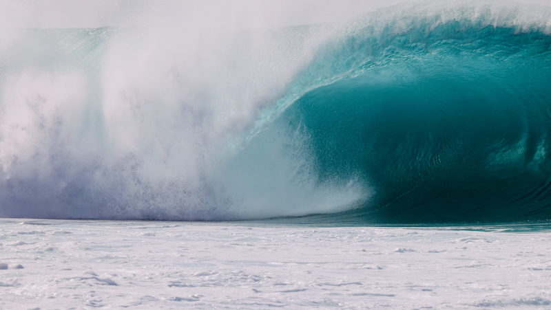 スクリーンショット 2026-01-14 5.03.04