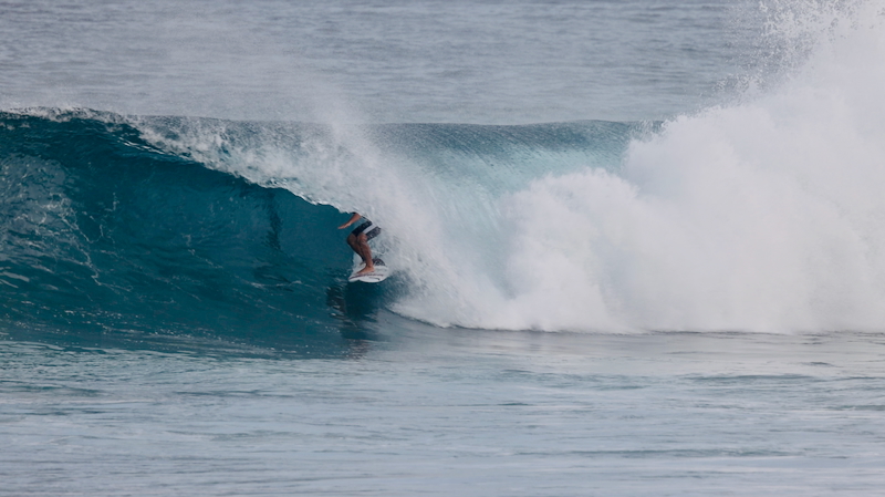 スクリーンショット 2026-01-24 17.43.33