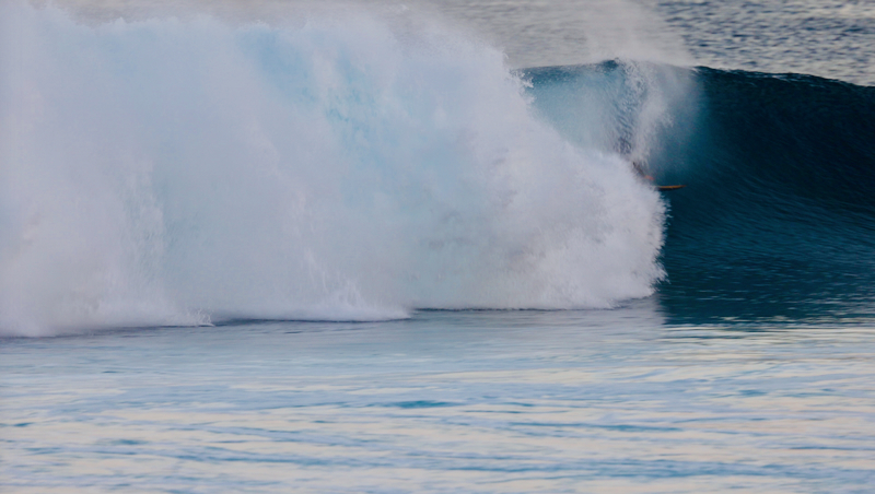 スクリーンショット 2026-01-27 16.39.58