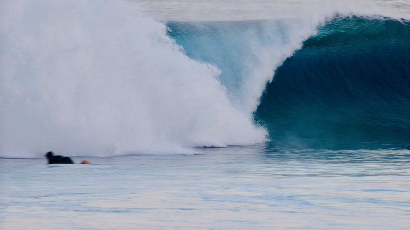 スクリーンショット 2026-01-27 16.39.08