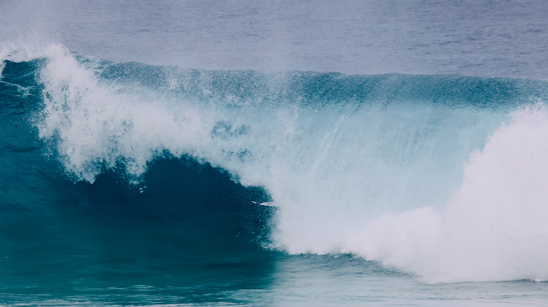 スクリーンショット 2026-01-19 2.39.38