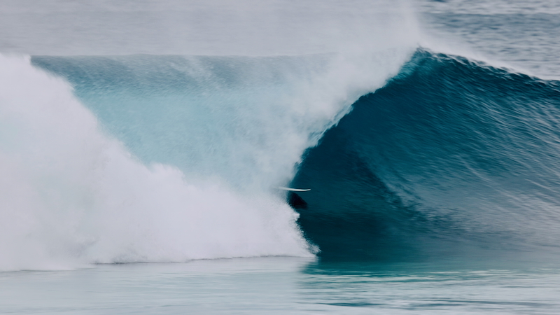 スクリーンショット 2026-01-22 2.50.52