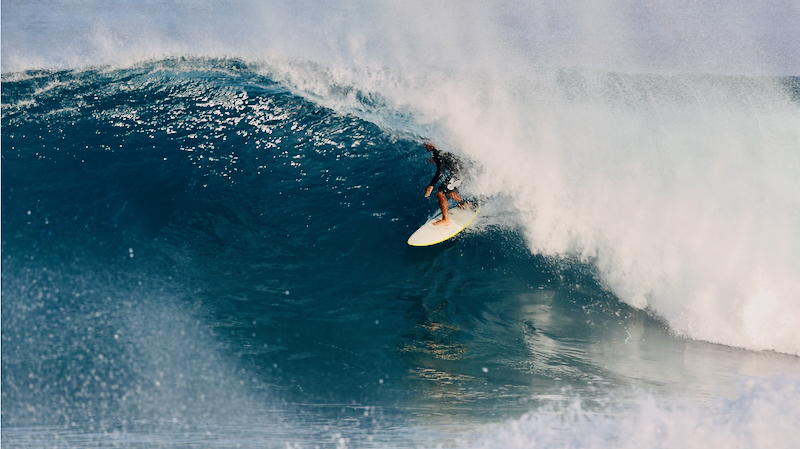 スクリーンショット 2026-01-27 17.16.50