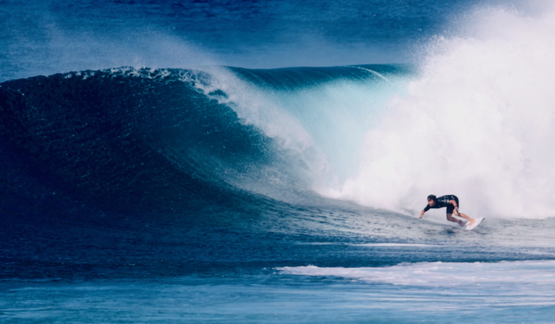 スクリーンショット 2026-01-08 5.09.15