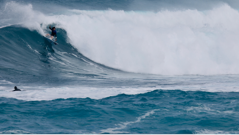 スクリーンショット 2026-01-17 15.22.29