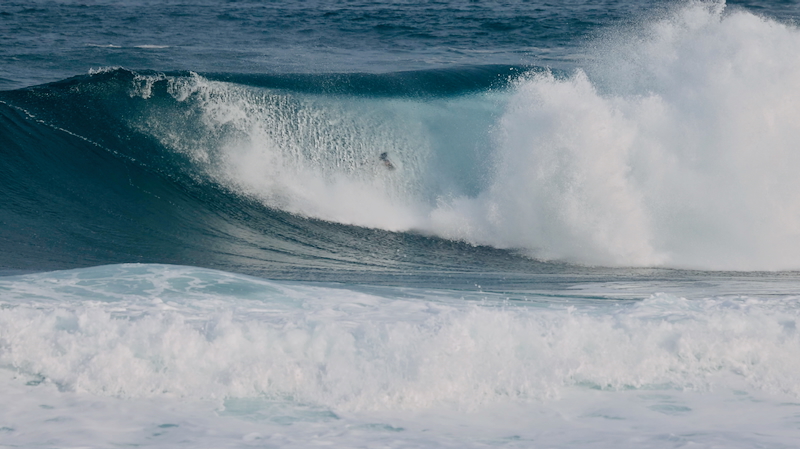 スクリーンショット 2026-01-24 4.47.53