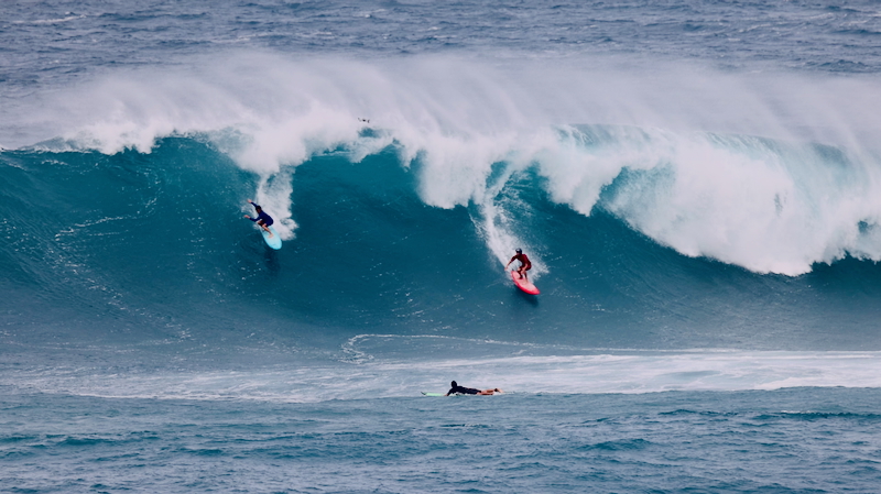 スクリーンショット 2026-01-16 13.52.49