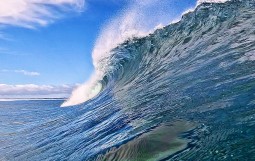 A8917A54-DBF2-4D5F-86B8-FE0DBCEC0440