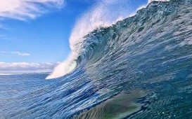 A8917A54-DBF2-4D5F-86B8-FE0DBCEC0440